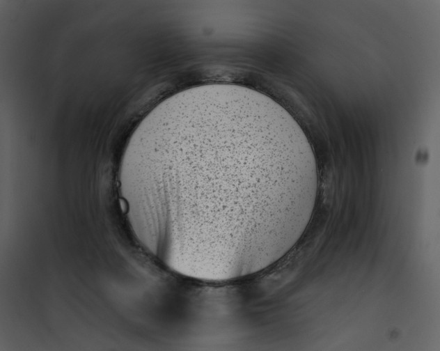 X0000101200314200807181541