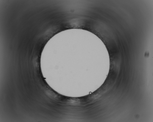 X0000101200317200807181541