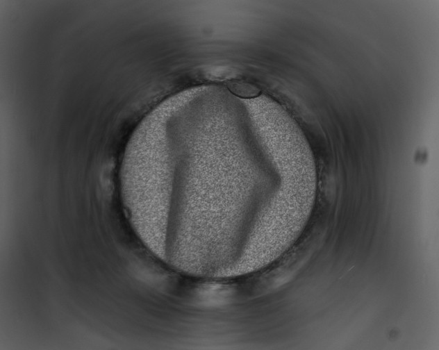 X0000101200319200807181541