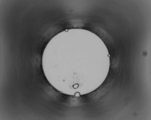 X0000101200321200807181541