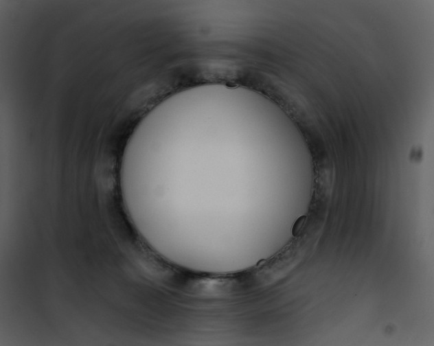 X0000101200323200807181541