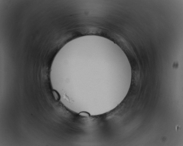 X0000101200326200807181541