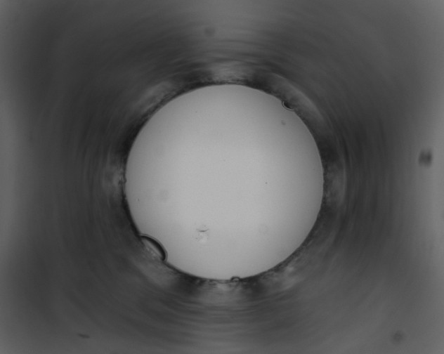 X0000101200329200807181541