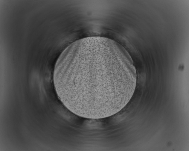 X0000101200331200807181541