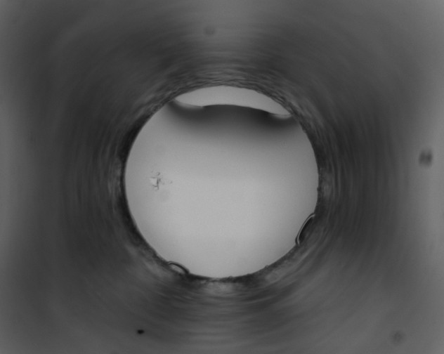 X0000101200332200807181541