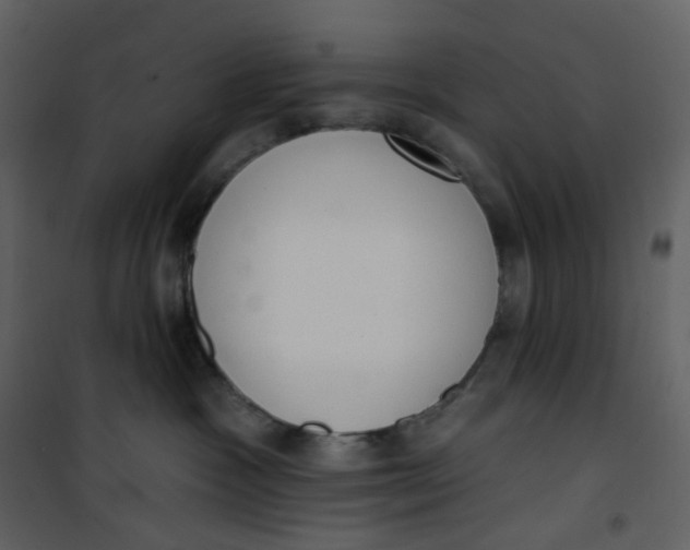 X0000101200333200807181541