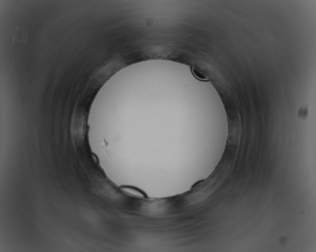 X0000101200334200807181541