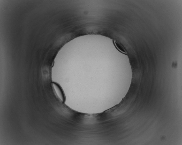 X0000101200335200807181541