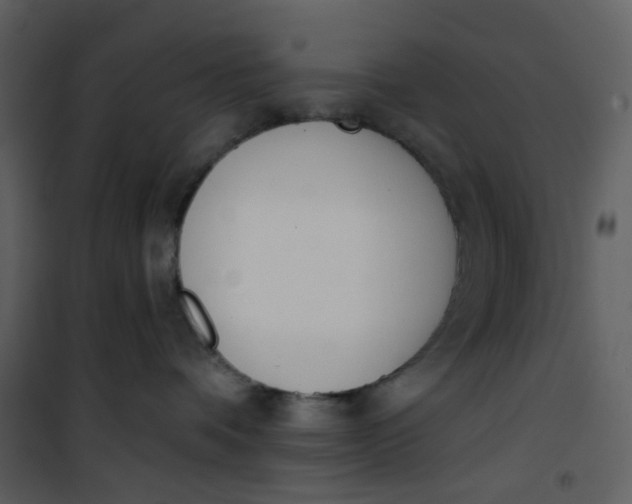 X0000101200336200807181541