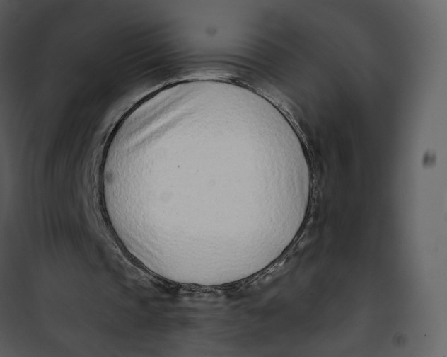 X0000101200337200807181540