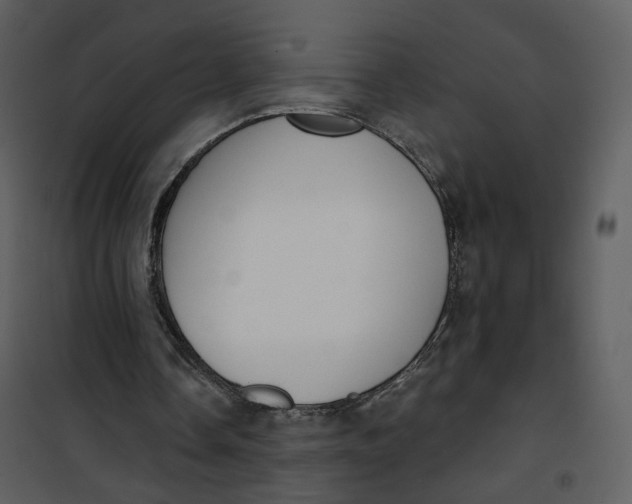 X0000101200338200807181540