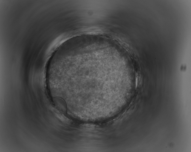 X0000101200339200807181540