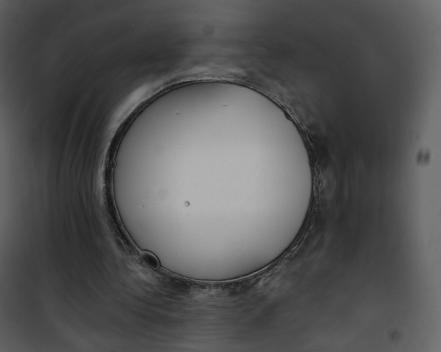 X0000101200340200807181540