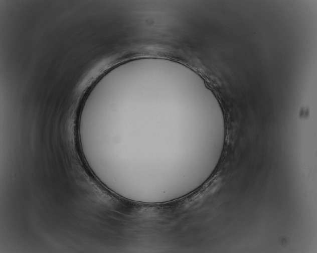 X0000101200341200807181540