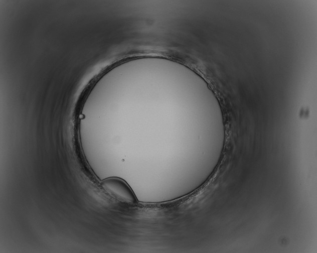 X0000101200342200807181540