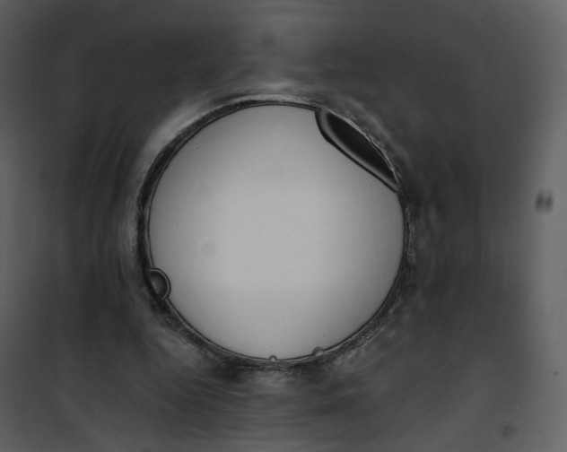 X0000101200344200807181540