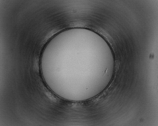 X0000101200345200807181540