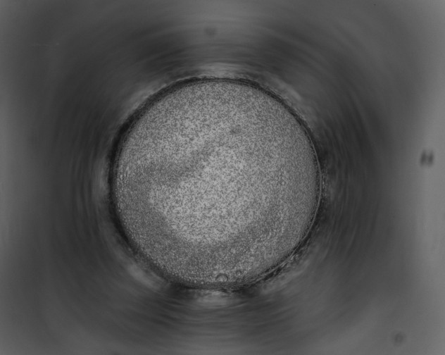 X0000101200347200807181540