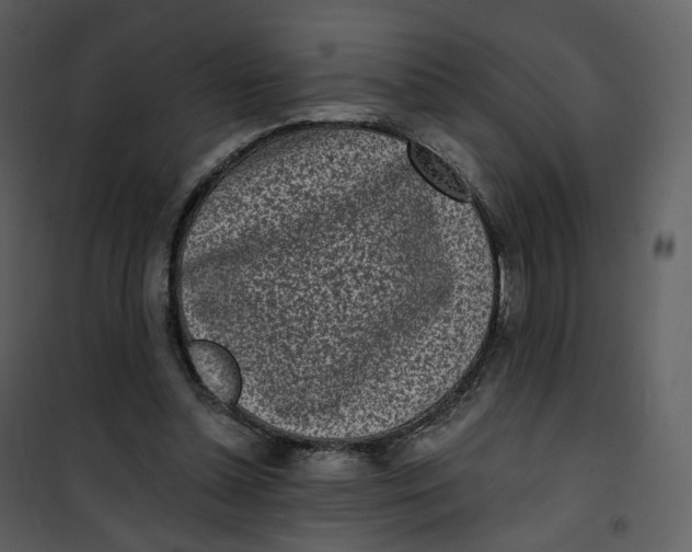 X0000101200348200807181540