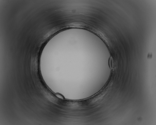 X0000101200349200807181540