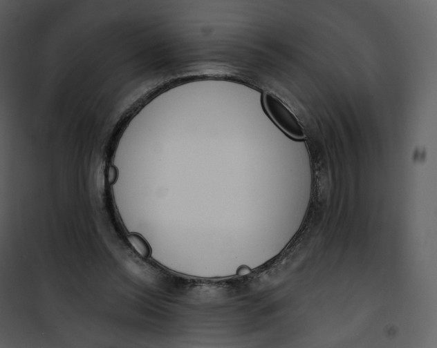 X0000101200350200807181540