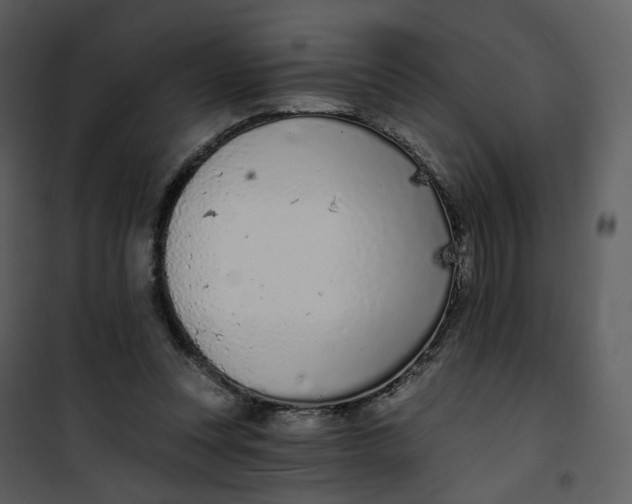 X0000101200351200807181540