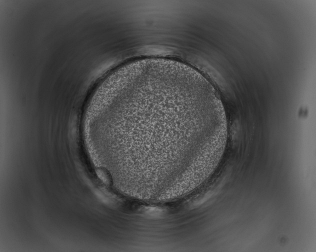 X0000101200352200807181540