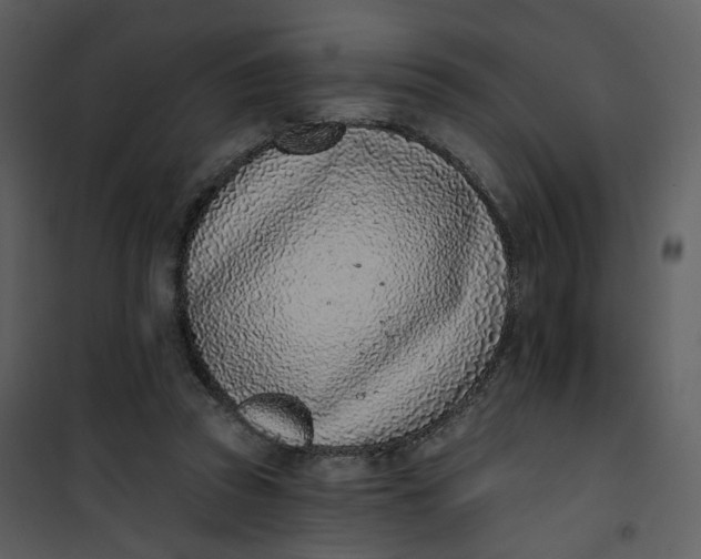 X0000101200353200807181540