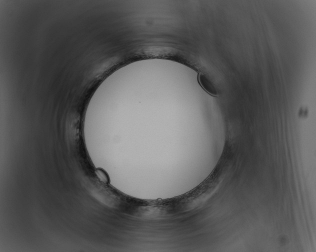 X0000101200356200807181540