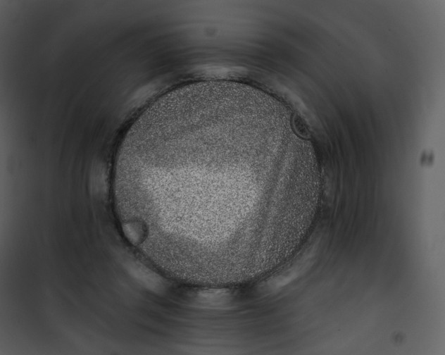 X0000101200357200807181540