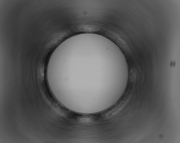 X0000101200358200807181540