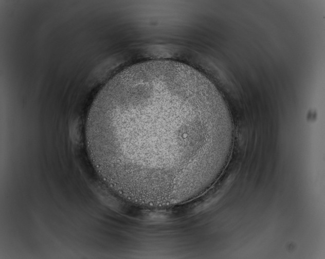 X0000101200359200807181540