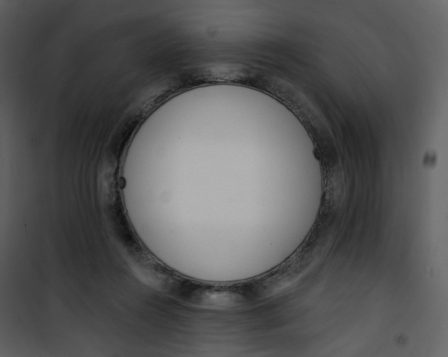 X0000101200360200807181540