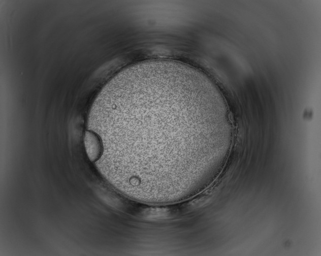 X0000101200361200807181540