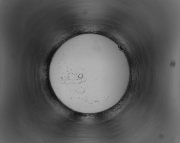 X0000101200362200807181540