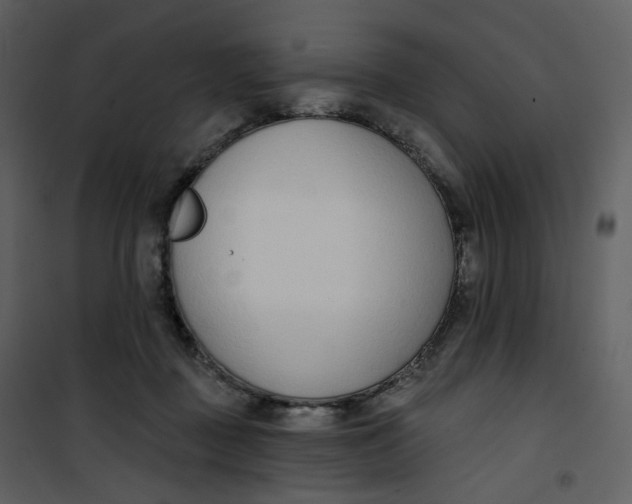 X0000101200363200807181540