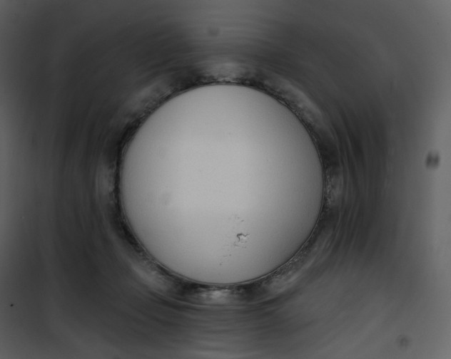 X0000101200365200807181540