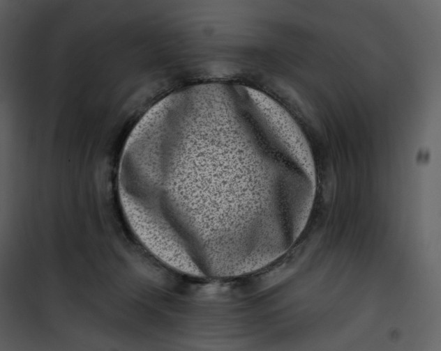 X0000101200366200807181540