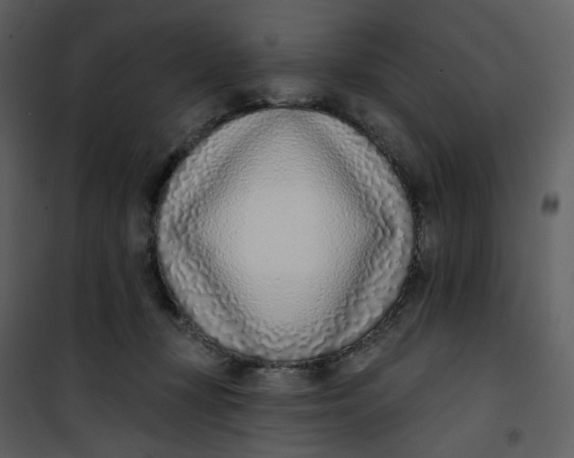 X0000101200367200807181540