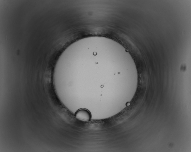 X0000101200368200807181541