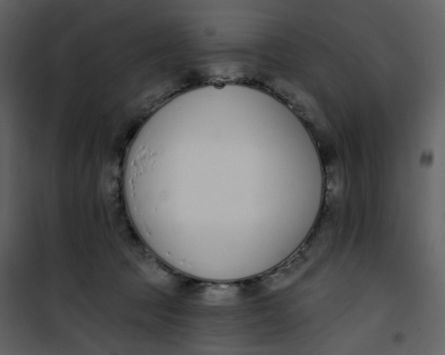 X0000101200369200807181541