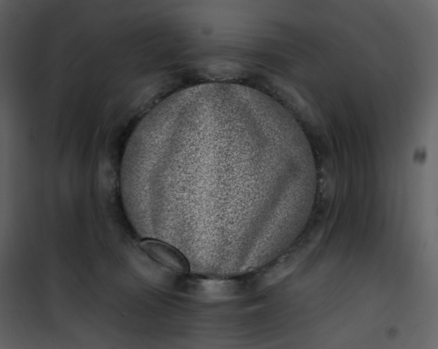 X0000101200371200807181541