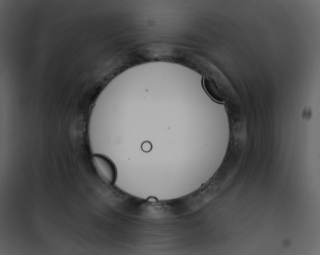 X0000101200372200807181541