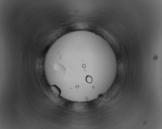 X0000101200373200807181541