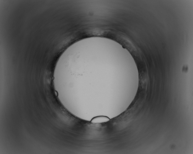 X0000101200374200807181541