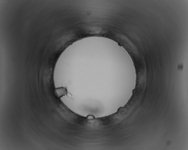 X0000101200376200807181541