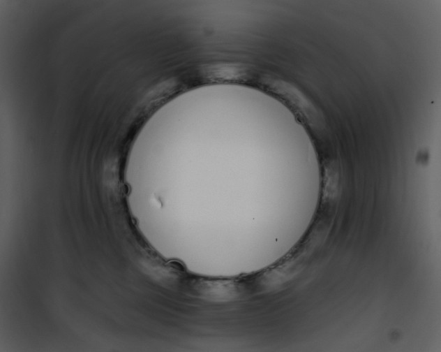 X0000101200377200807181541