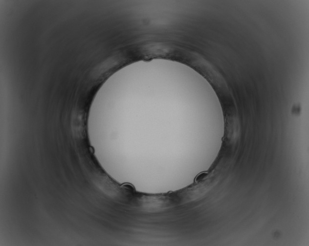 X0000101200378200807181541