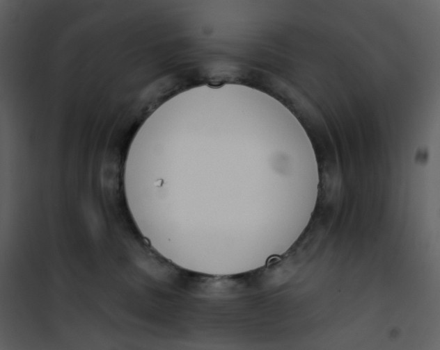 X0000101200379200807181541