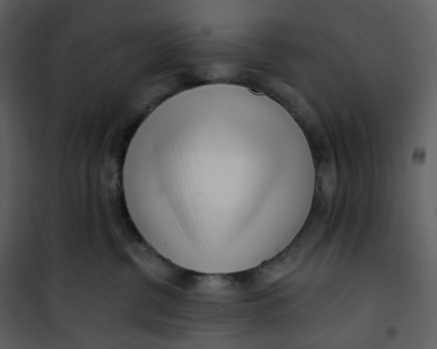 X0000101200380200807181541